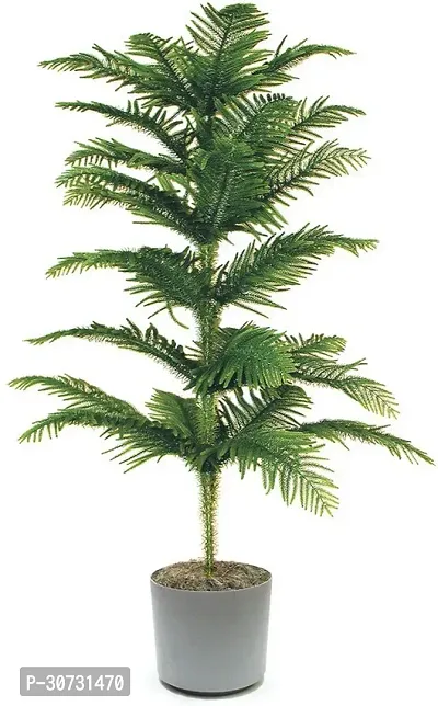 Ukanda Christmas Tree Plant XMASa34-thumb0