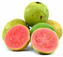 Ukanda Guava Plant Rear pink guava Grafteda healthy fruit plant (pack of 1)-thumb1