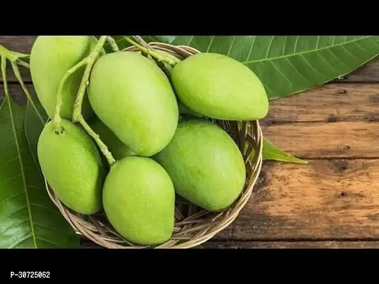 Ukanda Mango Plant Sweet Green Mango(Kaccha Mitha Aam) Live Grafted Plant-thumb0