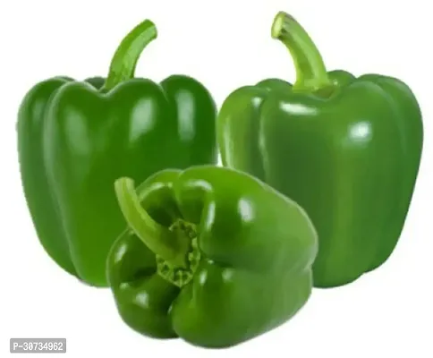 Ukanda Capsicum KKH106-thumb0