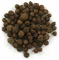 Ukanda Clove Plant Live Allspice Spice Plant-thumb2