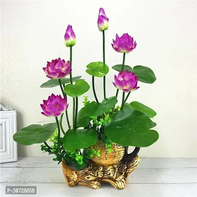 Ukanda Lotus Plant Lotus plant 23-thumb0