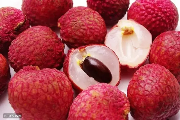 Ukanda Litchi Plant LI76GYT-thumb2