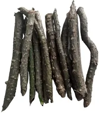 Ukanda Giloy Plant GILOY STEMS, Fresh Neem Giloy Stems-thumb1