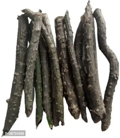 Ukanda Giloy Plant GILOY STEMS, Fresh Neem Giloy Stems-thumb2