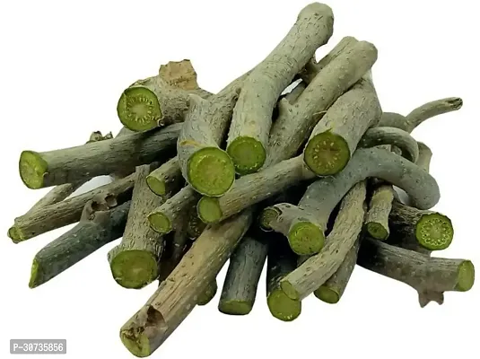 Ukanda Giloy Plant Giloy plant Fresh Sticks of 6 Inch Length-thumb0