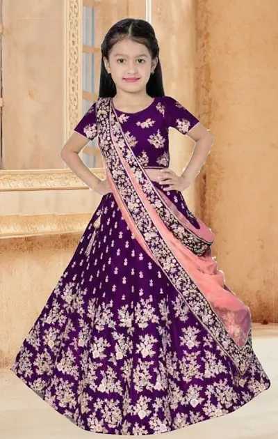 Wedding Party Look ! Embroidered Lehenga Choli Set