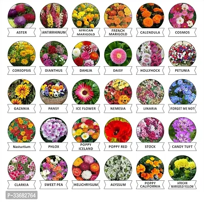 30 Flower Seeds for Home Gardening-thumb0