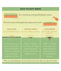 35 Vegetable Seeds Combo 1000 + Seeds-thumb3