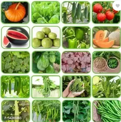 Hybrid Summer 20 types Vegetable Seeds Combo Pack Seed (500 seeds per packet)-thumb0