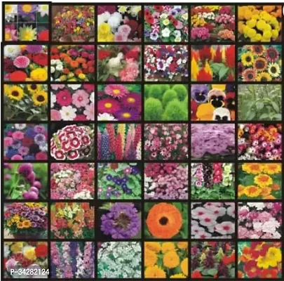 Combo of 40 Variety 3000+ Flower Seeds Combo Seed (40 per packet)-thumb0