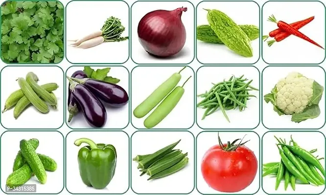 Vegetable Seeds Combo Pack, 15 Varieties