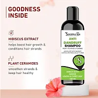 Natural Hair Care Hair Shampoo100ml-thumb3