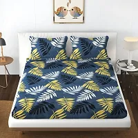 Graceful Glace Cotton multi color Elastic Fitted Combo of 2 king Sized Bedsheets-thumb3