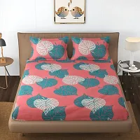 Graceful Glace Cotton multi color Elastic Fitted Combo of 2 king Sized Bedsheets-thumb4