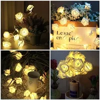 Karaksh Rose Flower LED String Fairy Light 14 LED 3 Meter Night Light for Home Decor, Plastic Rose String Lights for Bedroom Decor, LED Light for Indoor, Outdoor Decoration (White, Plug-in)-thumb2
