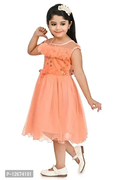 Classic Embroidered Dresses for Kids Girls-thumb2