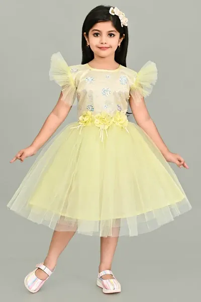 Beautiful Butterfly Design Knee Length Half Frill Sleeves Fairy Princess Net Frock Dress for Girl