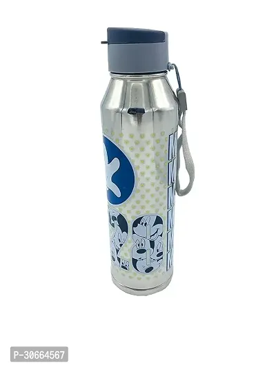 Cartoon Printed On A Stainless Steel Water Bottle For Kids