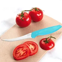 Kitchen Knife Set of 4 Packs Pointed Knife;Steak Knife; Utility Knife  Tomato Knife for Cutting, Peeling, Slicing, Mincing, Dicing, Chopping  More-thumb3