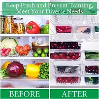 Premium Fridge Storage Boxes 6 Pcs for Fruits / Veggies / Meat / and Fish BPA-Free-thumb4