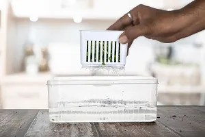 4 Grid Fridge Storage Box with Lids Organize Fruits / Garlic  Vegetables in This Divided Tray-thumb2