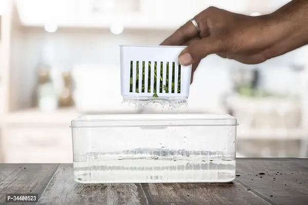 Divided Food Storage Tray for Fridge 4 Grid Organizer with Lids for Spring Onions / Garlic  Fruits-thumb2