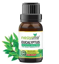 Natural Lemon Essential Oil -15Ml, Peppermint Essential Oil -15Ml With Eucalyptus Essential Oil -15Ml (45Ml-Pack Of 3)-thumb3