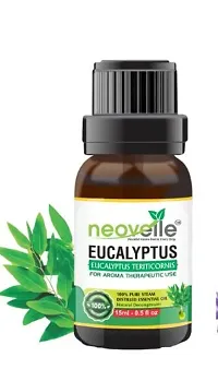 Natural Peppermint Essential Oil -15Ml, Eucalyptus Essential Oil -15Ml With Lavender Essential Oil -15Ml (45Ml-Pack Of 3)-thumb2