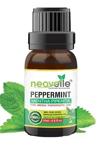 Natural Peppermint Essential Oil -15Ml, Eucalyptus Essential Oil -15Ml With Lavender Essential Oil -15Ml (45Ml-Pack Of 3)-thumb1