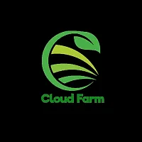 Cloud Farm  Hybrid Grafted Yellow Rose Plant CF01795460211-thumb1