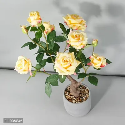 Cloud Farm  Hybrid Grafted Yellow Rose Plant CF01101348