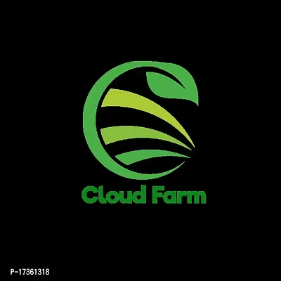Cloud Farm Hybrid Grafted Kashmiri Red Ber Apple Plant CF804571-thumb3
