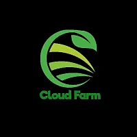 Cloud Farm Hybrid Mandarin Orange Plant Cf1252-thumb2