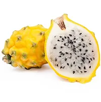 Cloud Farm Dragon Fruit Pack of 5- Yellow Skin With White Flesh Hybrid Plant.-thumb3