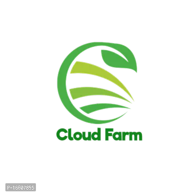 Cloud Farm Hybrid  Glenn Grafted Mango Plant.-thumb2