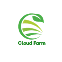 Cloud Farm Hybrid Kent Grafted Mango Plant-thumb1