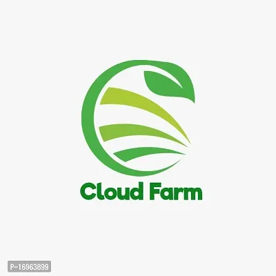 Cloud Farm High Yielding Cas/Costa Rican Air Layered Hybridnbsp;Plantnbsp;[CF84]-thumb2