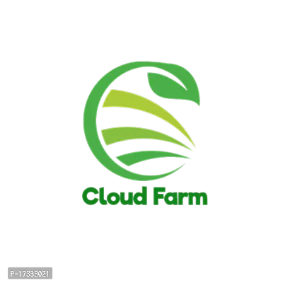 Cloud Farm Hybrid Grafted Thai Green Ber Apple Plant CF00105-thumb3