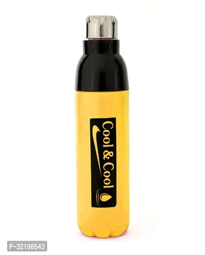 Stylish Steel Printed Water Bottle