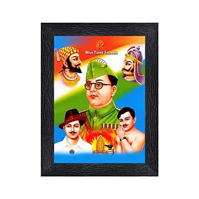 Subhash Chandra Bose,Bhagat Singh,Azad,Shivaji and Maharana Pratap Wood Photo Frames with Acrylic Sheet (Glass)(photoframe,Multicolour,8x6inch)-19864, Wall Mount