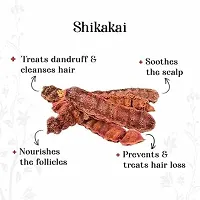psf sakhi Shikakai Powder (Natural Hair Cleanser for luxirious and Soft Hairs), 300g-thumb1
