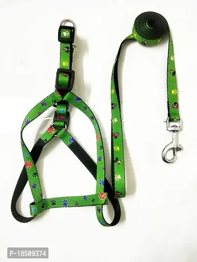 SET PET COLOER FULL HARNESS AND LESH SIXE 0.50CM