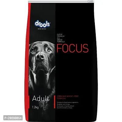Drools Focus Adult Super Premium Dry Dog Food, Meat Flavor, 1.2kg