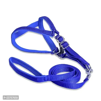 SET PET Nylon Premium Dog Harness and Padded Leash ng and Training Color -TIME TO TIMR CHANGE (0,50 INCJH)