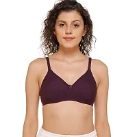 SONA Women's M1001 Cotton Seamless T-Shirt Non-Padded Non-Wired Comfortable Bra (Assorted_30B) Pack of 2-thumb2