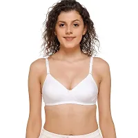 SONA Women's M1001 Cotton Seamless T-Shirt Non-Padded Non-Wired Comfortable Bra (Assorted_32B) Pack of 2-thumb2