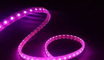 1080 LEDs 15 m Pink Steady Strip Rice Lights (Pack of 1)-thumb2