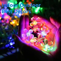 reyiys 20 LEDs 4 m Multicolor Steady Flower Rice Lights Pack of 1-thumb2