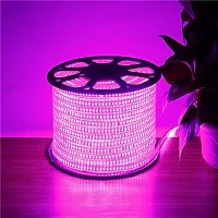 1080 LEDs 15 m Pink Steady Strip Rice Lights (Pack of 1)-thumb1